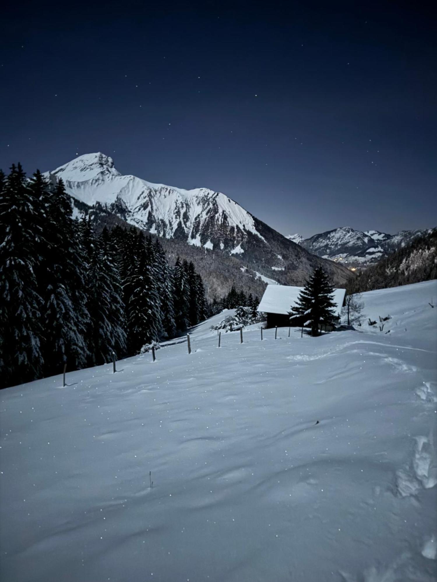 Charming, Cosy Chalet Nestled In A Breathtaking Surrounding With Spectacular, Stunning Mountain Views La Chapelle-d'Abondance Exterior foto